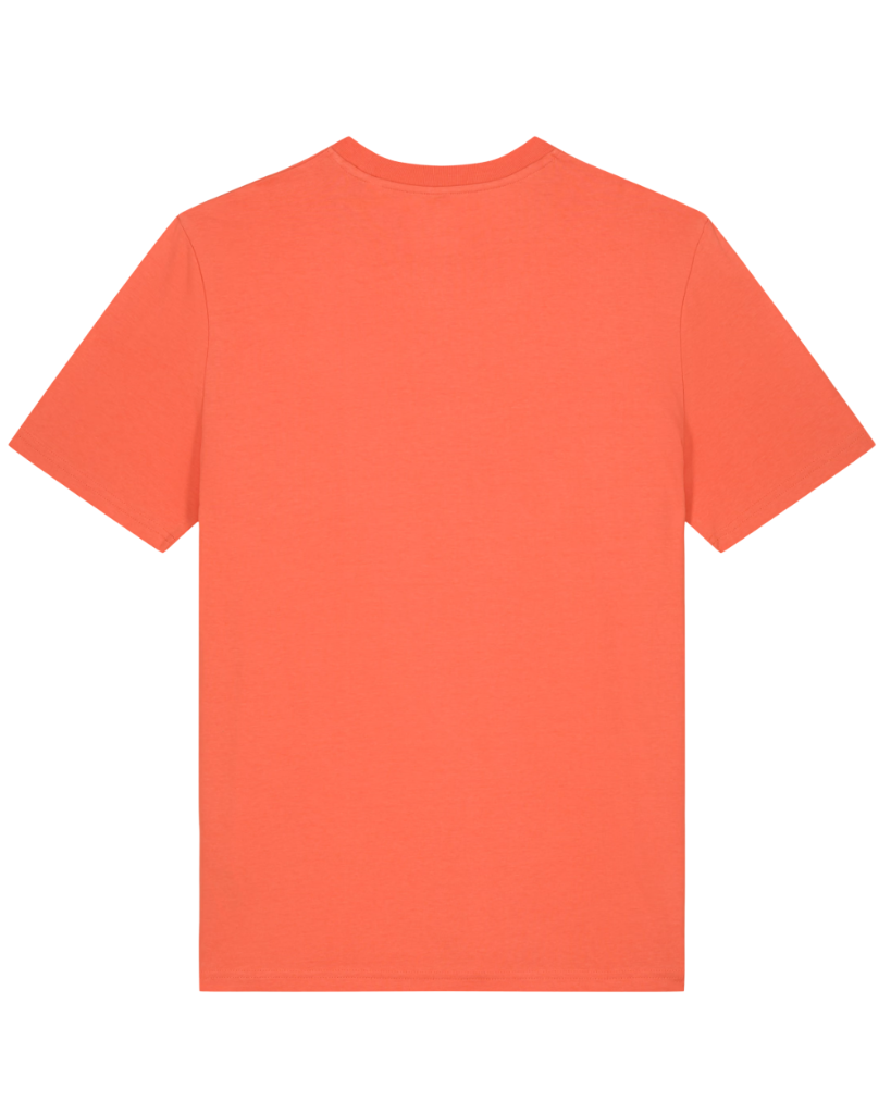 The BASIC T-Shirt - Adults
